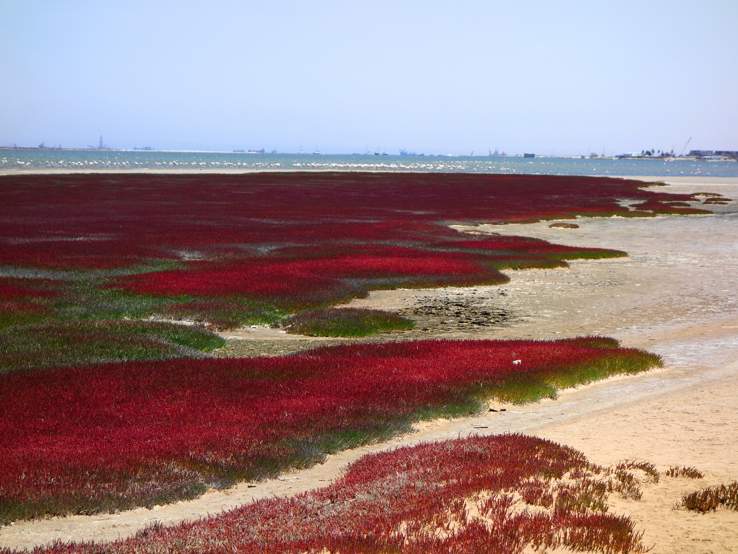 Die Farbe:"Rot"