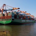 Die (fast) nagelneue CSCL Pacific Ocean im Hamburger Hafen