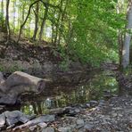 Die fast trockene Weil in Emmershausen 01