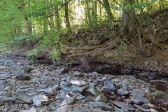 Die fast trockene Weil in Emmershausen 02