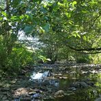 Die fast trockene Weil in Emmershausen 07