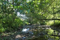 Die fast trockene Weil in Emmershausen 07