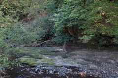 Die fast trockene Weil in Emmershausen 09