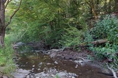 Die fast trockene Weil in Emmershausen 10
