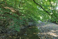 Die fast trockene Weil in Emmershausen 11