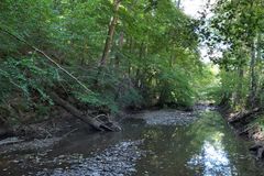 Die fast trockene Weil in Emmershausen 12