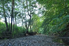 Die fast trockene Weil in Emmershausen 14