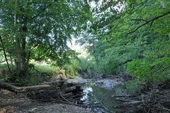 Die fast trockene Weil in Emmershausen 15