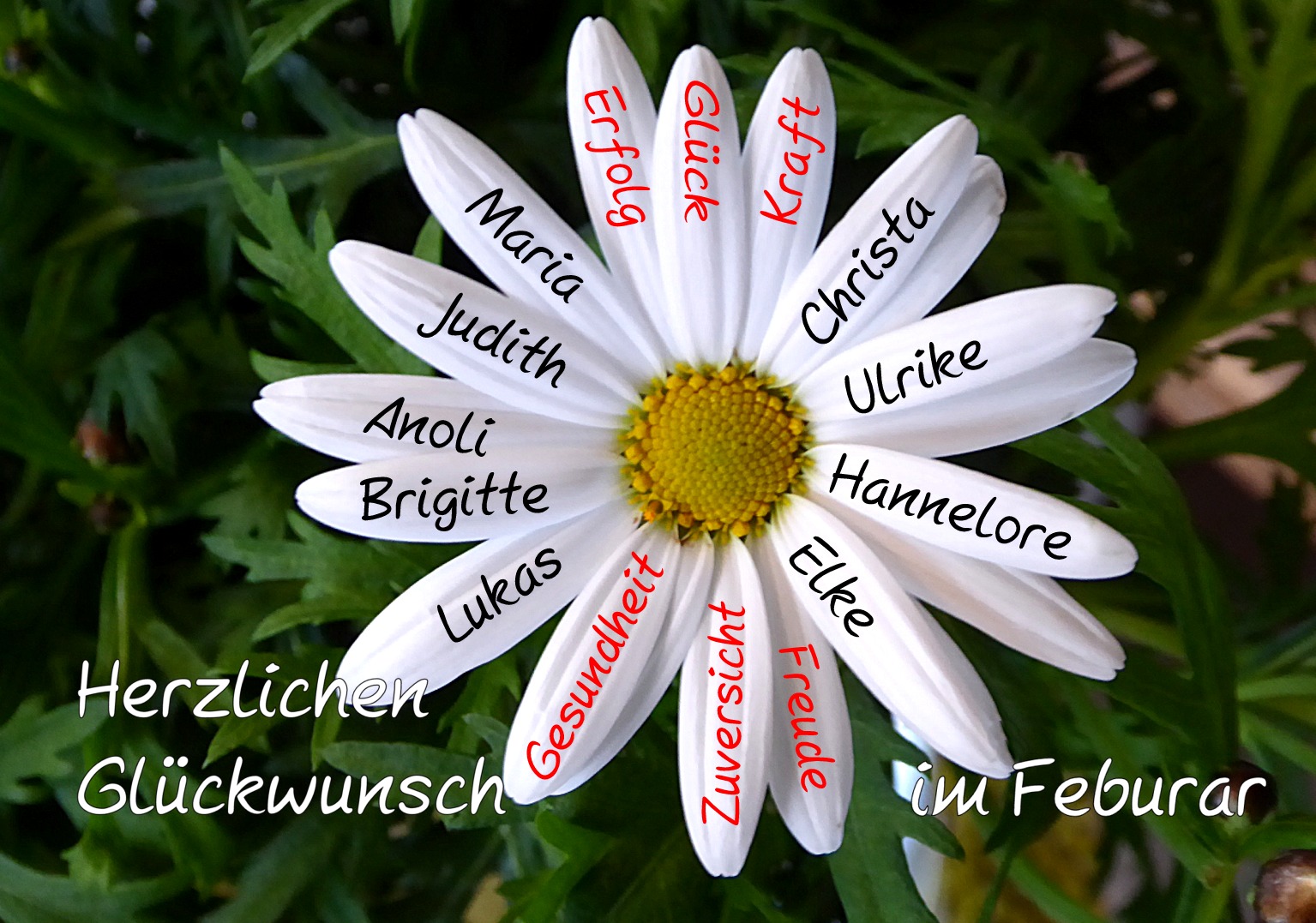 Die Februar-Geburtstage - ALLES GUTE ! Foto & Bild  gratulation und feiertage, geburtstag 