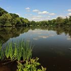 Die Feder auf dem Wasser