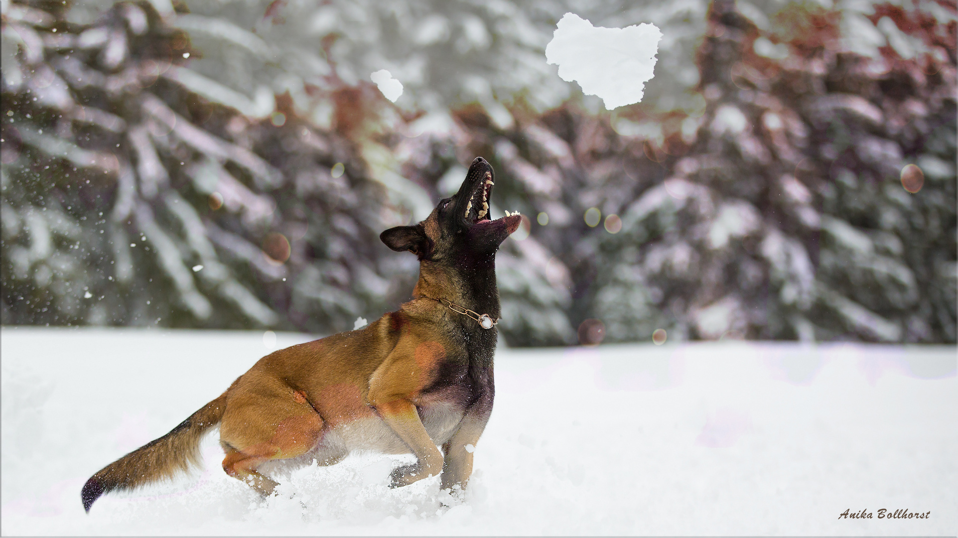 Die Feebs und der Schnee