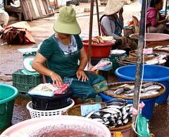 die feine bluse der fischverkäuferin, pakse südlaos 2010