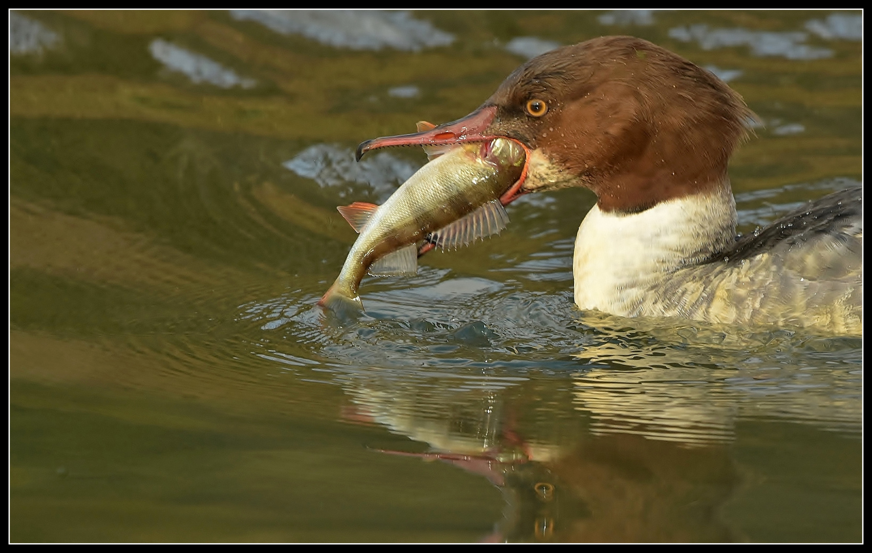 Die Feinschmeckerin