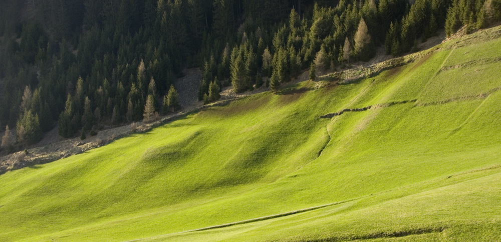 die felder sind gemacht | mountain pasture