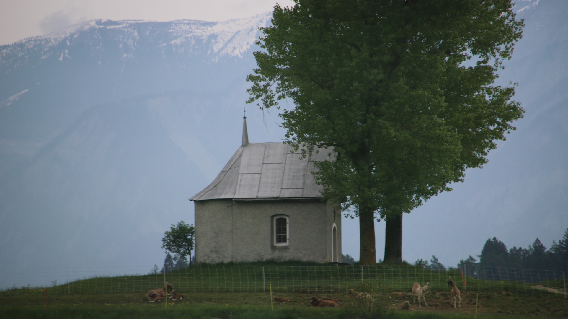 Die Feldkapelle Song Mang