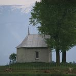 Die Feldkapelle Song Mang