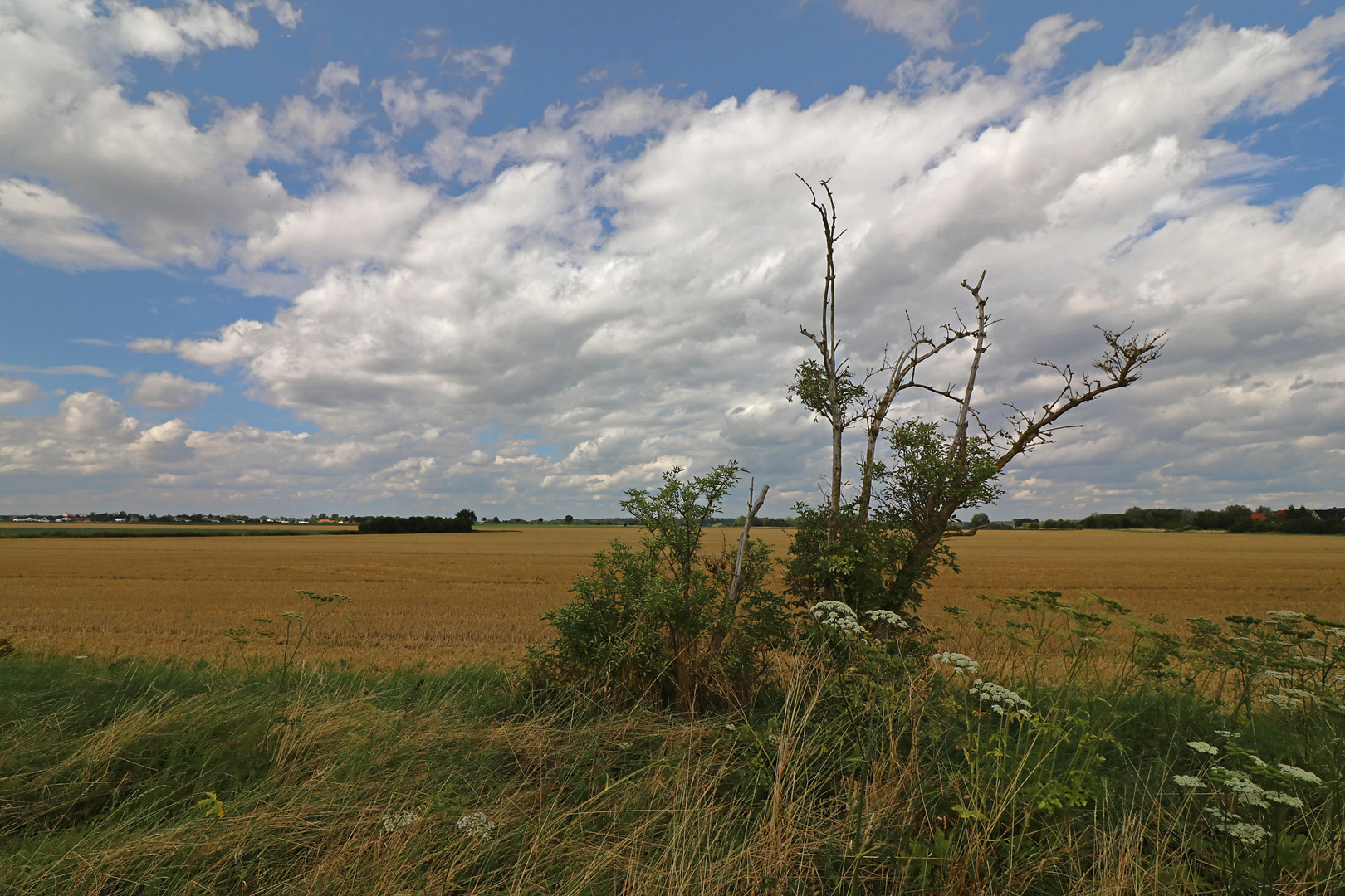 Die Feldmark nach der Ernte