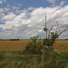 Die Feldmark nach der Ernte