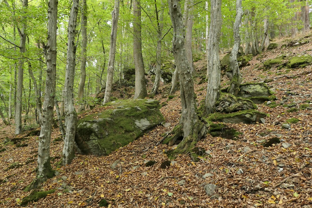 Die Felsen beim Weiltalweg 01