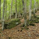 Die Felsen beim Weiltalweg 01