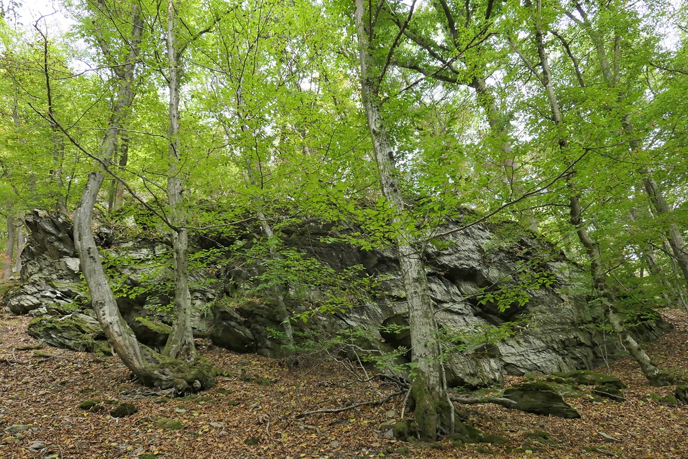 Die Felsen beim Weiltalweg 03