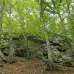 Die Felsen beim Weiltalweg 03