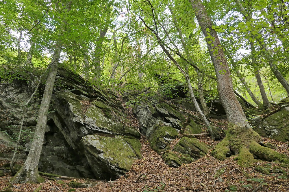 Die Felsen beim Weiltalweg 08