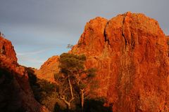 Die Felsen des Esterel-Massivs an der Cote d´Azur...