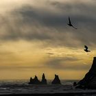 Die Felsen von Reynisdrangar