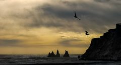 Die Felsen von Reynisdrangar