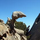 Die Felsen von Sardinien