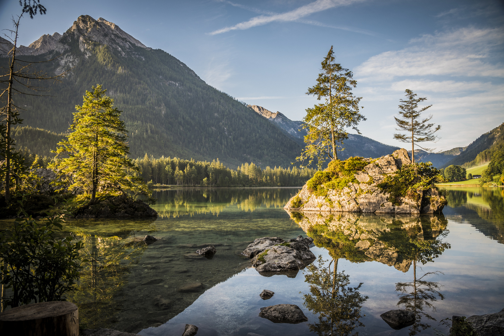 Die "Felsenbäume" am Hintersee