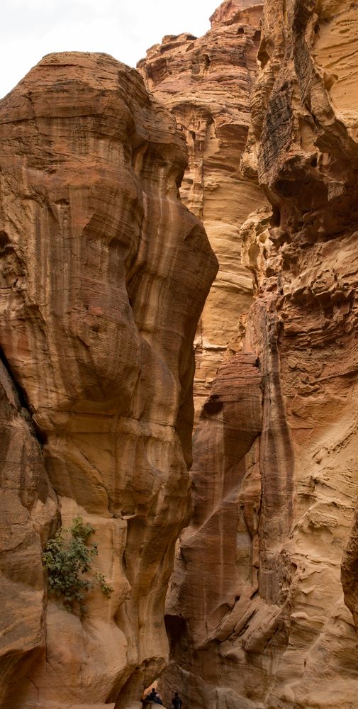 Die Felsenschlucht in Petra, der Siq,