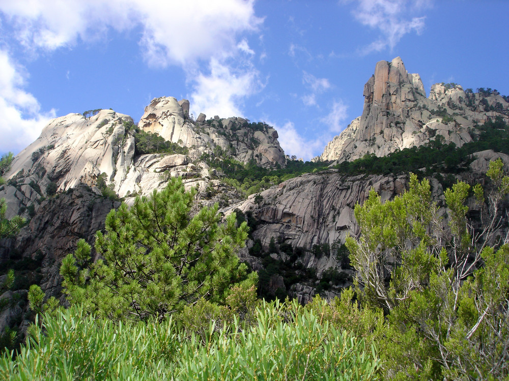 Die Felsenwälder