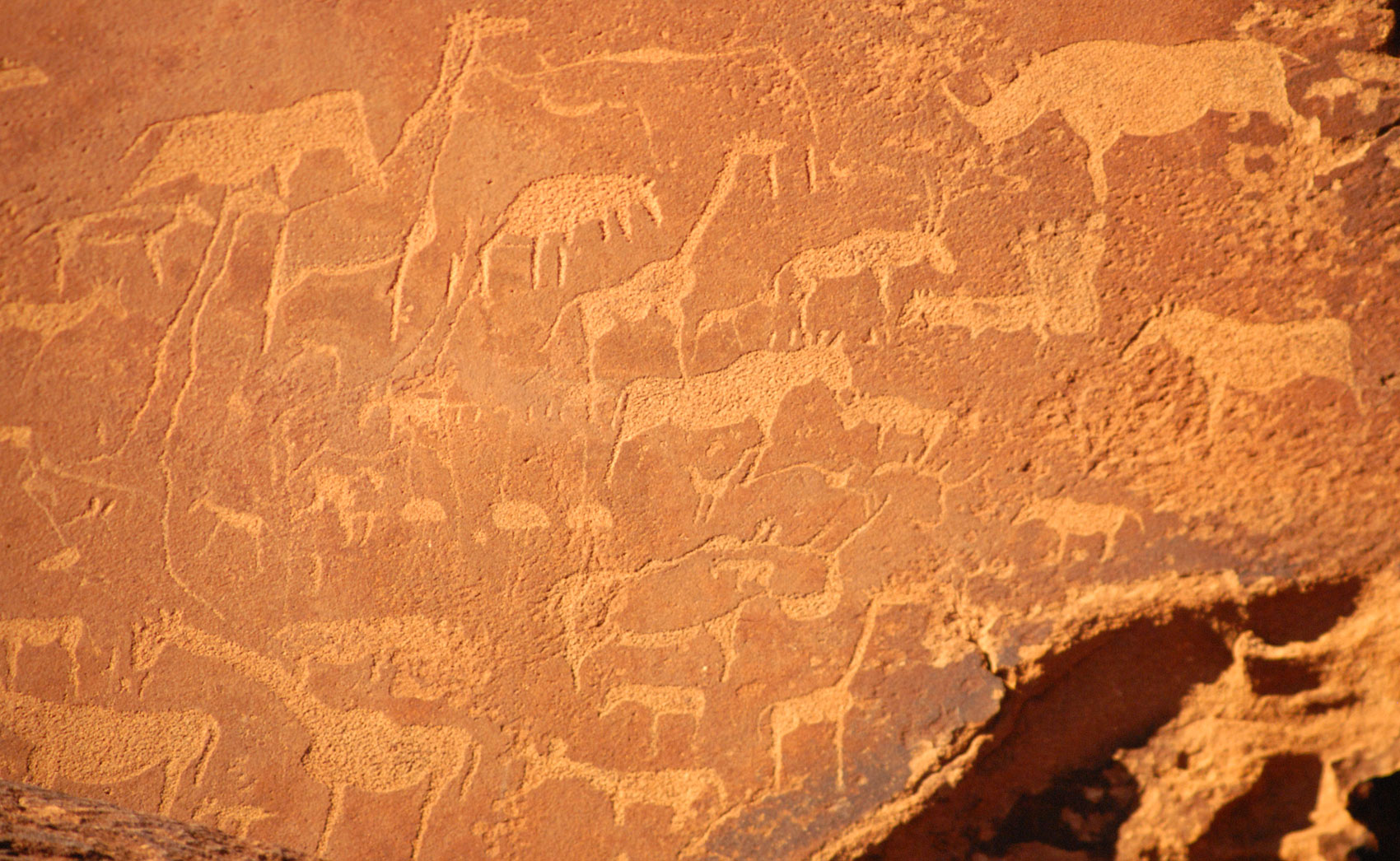 Die Felsgravuren von Twyfelfontein (Zweifelhafter Brunnen)  I