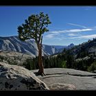 die Felsspalte - der Baum - die Aussicht