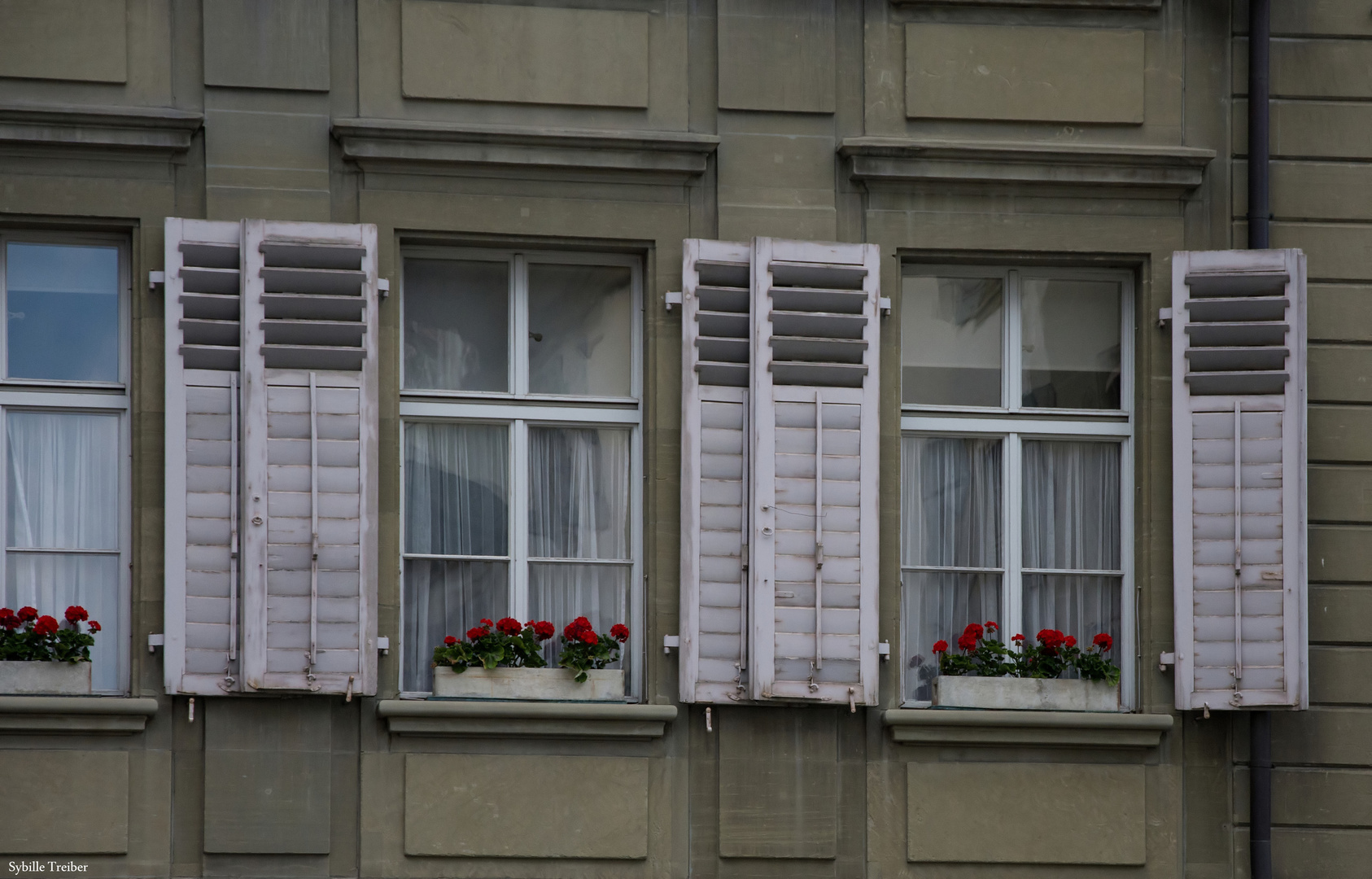 Die Fenster