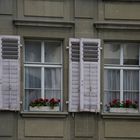 Die Fenster