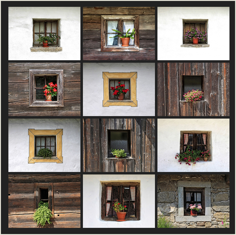 Die Fenster-Collage...