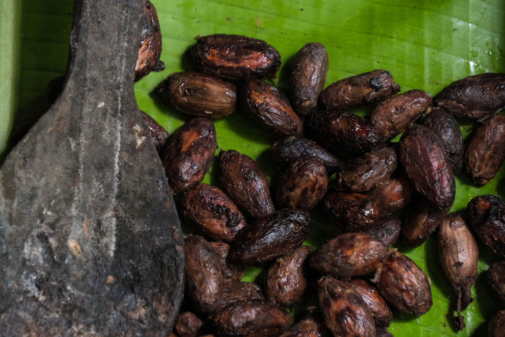 ...die fermentierten Kakao-Bohnen...