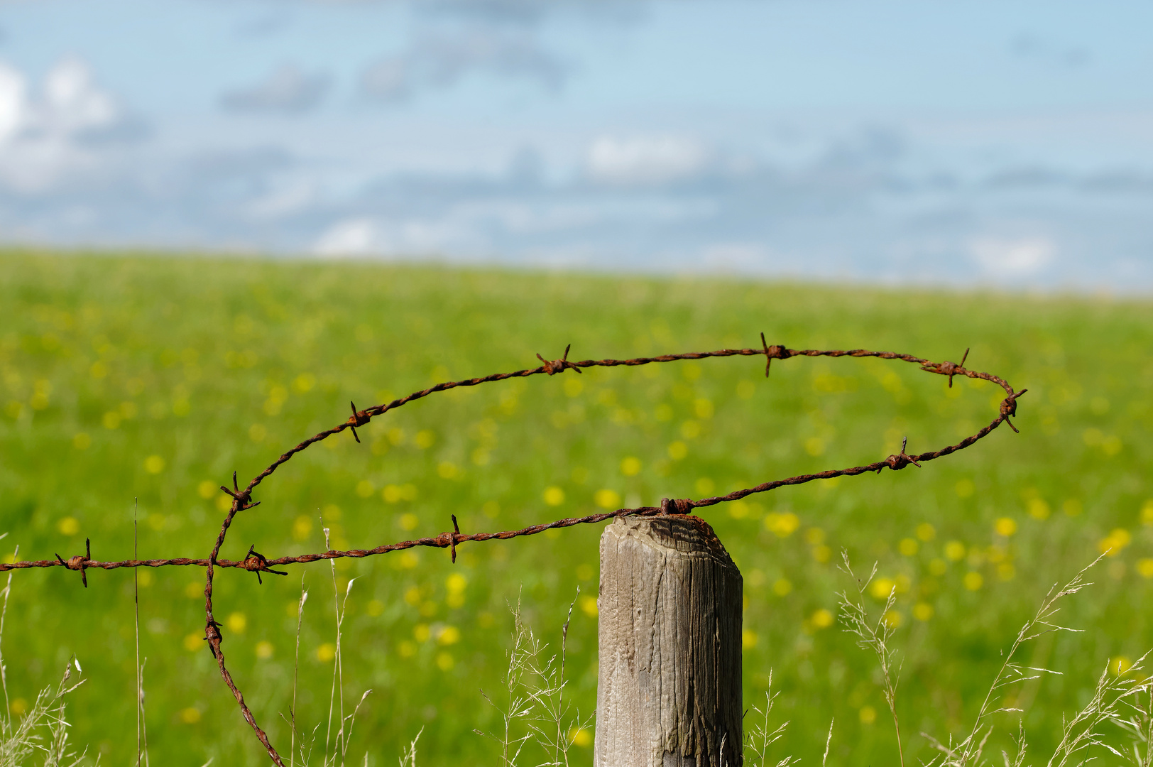 Die Fesseln sprengen