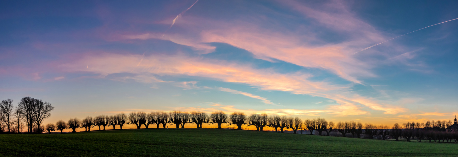 Die Festonallee beim Sonnenuntergang im Februar