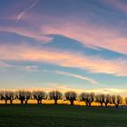 Die Festonallee beim Sonnenuntergang im Februar