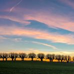 Die Festonallee beim Sonnenuntergang im Februar