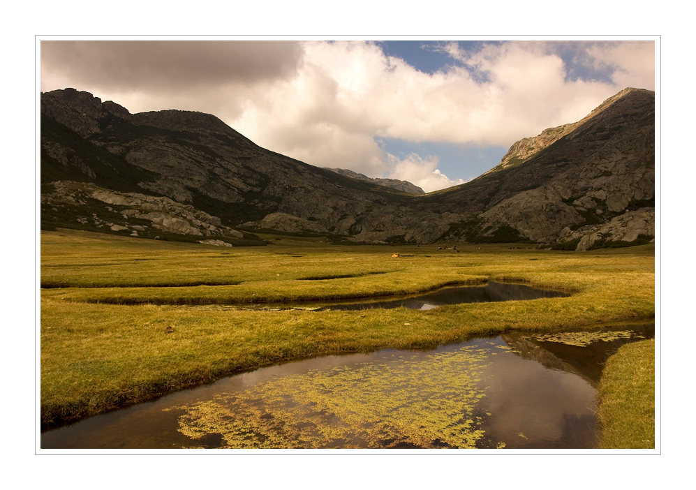 Die Feuchtwiesen oberhalb der Bergeries des Pozzi 1800m