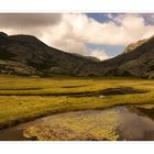 Die Feuchtwiesen oberhalb der Bergeries des Pozzi 1800m