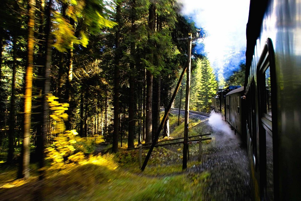 Die Fichtelbergbahn bei voller Fahrt