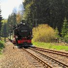 ...die Fichtelbergbahn...