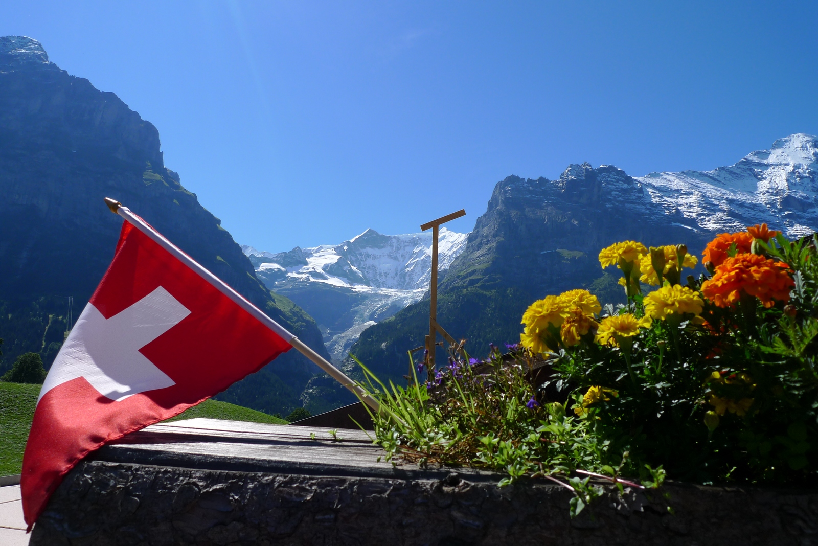 Die Fiescherhörner in Grindelwald