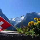 Die Fiescherhörner in Grindelwald